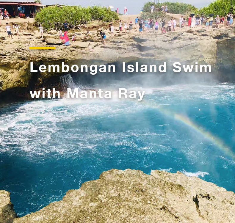 Lembongan Island Swim with Manta Ray