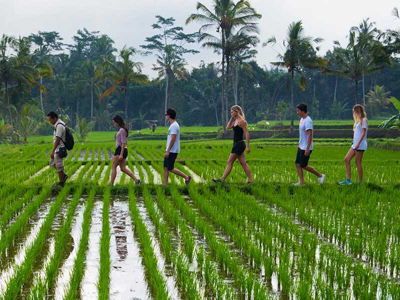 Bali:Tropical Trekking