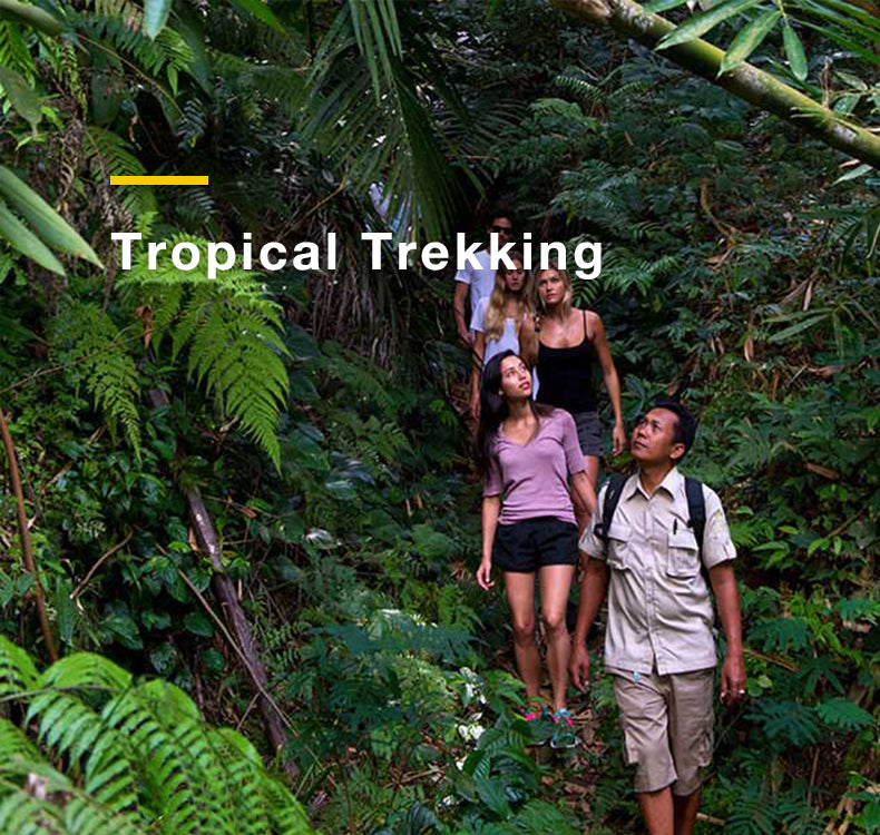Bali:Tropical Trekking