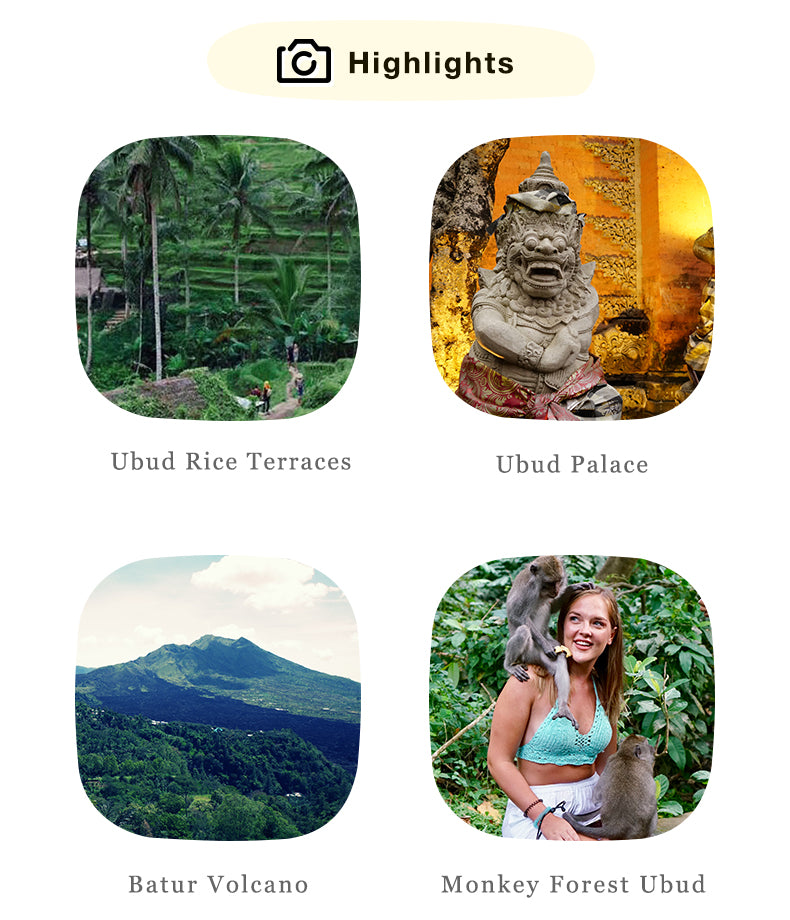 Bali:Ubud Rice Terraces+Temples+Volcano