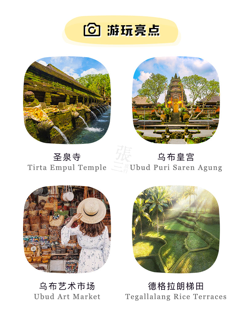 巴厘岛:乌布圣泉寺净身一日游