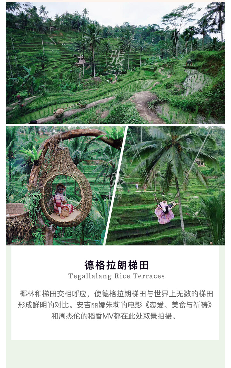 巴厘岛:乌布圣泉寺净身一日游