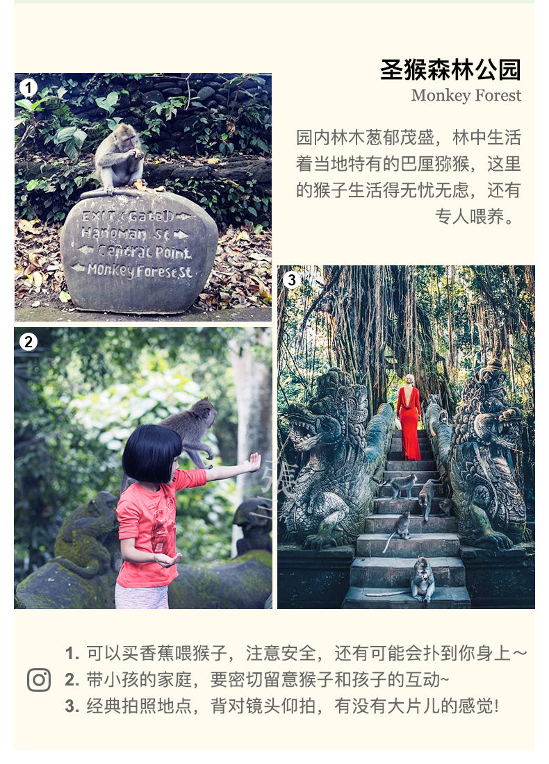 巴厘岛:乌布圣泉寺净身一日游