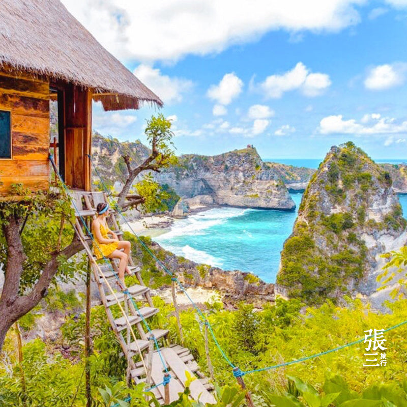 巴厘岛:佩尼达深度体验6大奇观一日游