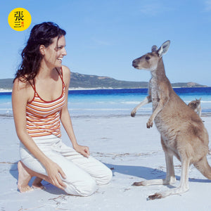 澳大利亚：阿德莱德袋鼠岛一日游