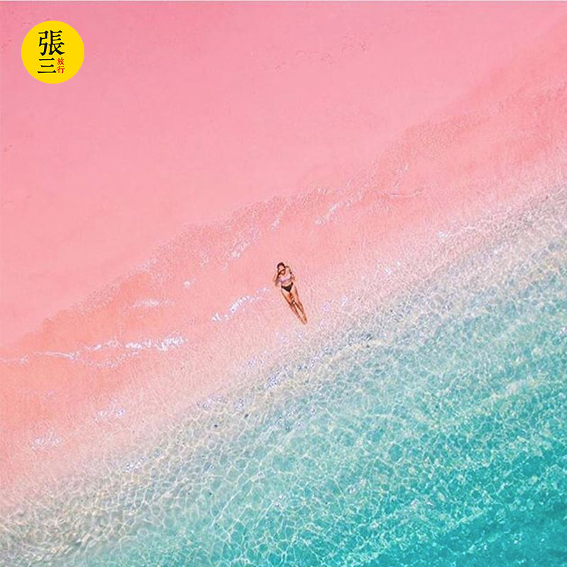 科莫多岛：岛上探险 粉红沙滩 快艇环岛