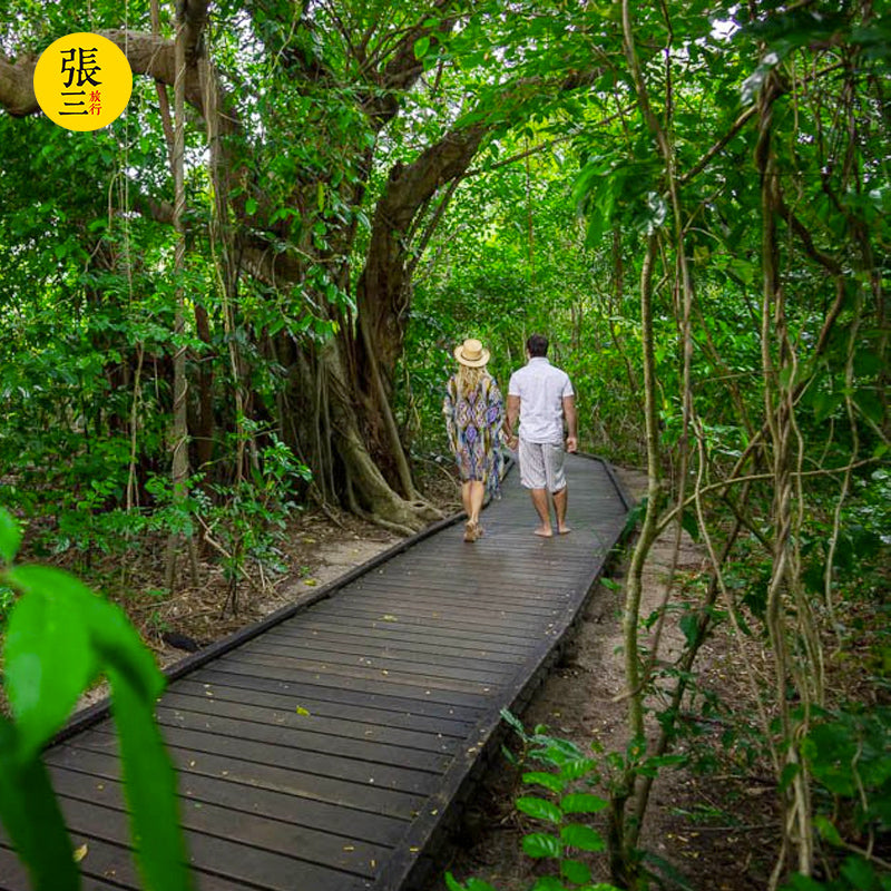 澳大利亚:凯恩斯大堡礁大猫号绿岛豪华一日游