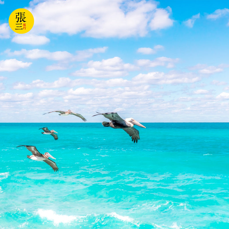 澳大利亚:珀斯经典景点3日游