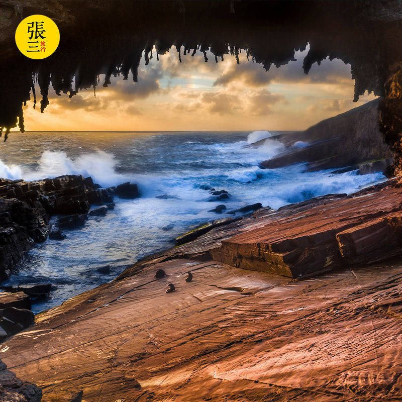 澳大利亚:阿德莱德袋鼠岛一日游