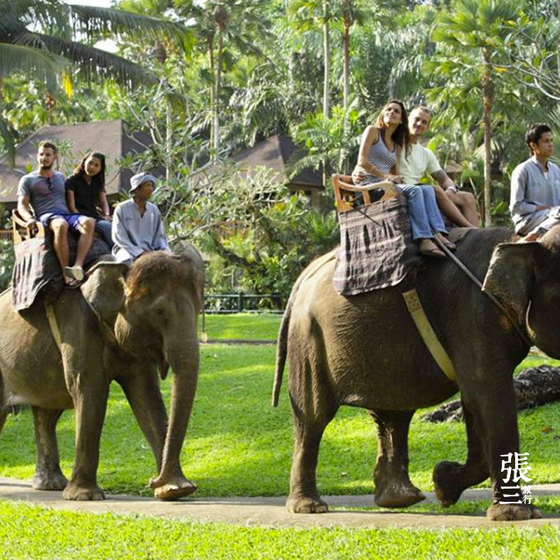 巴厘岛:阿勇河漂流一日游