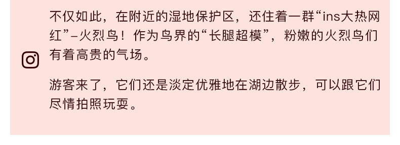 墨西哥:10天9晚包车深度游