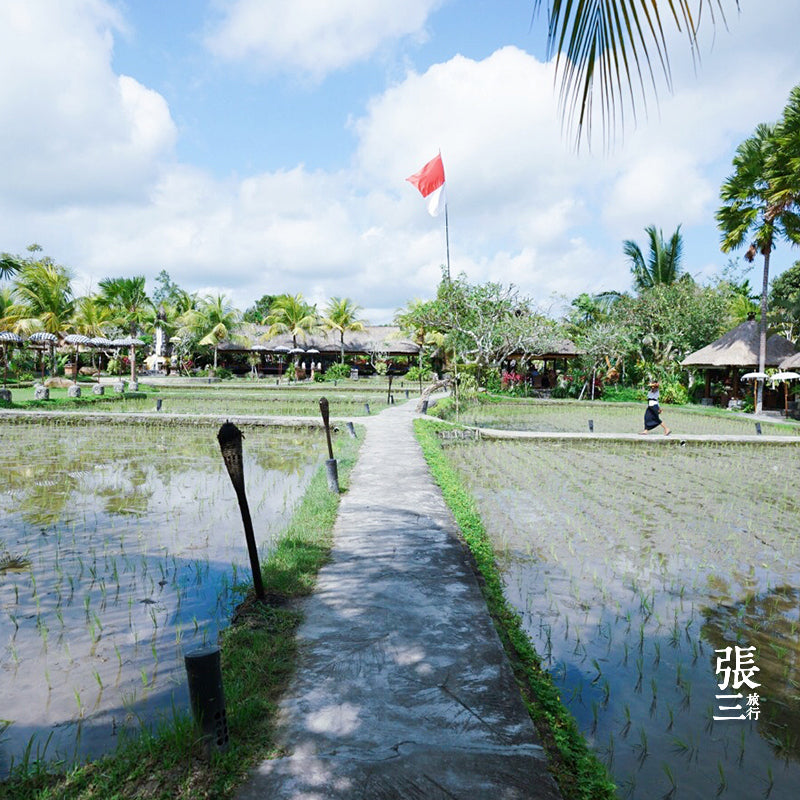 巴厘岛:脏鸭饭 猪排饭 烤乳猪 海鲜大餐