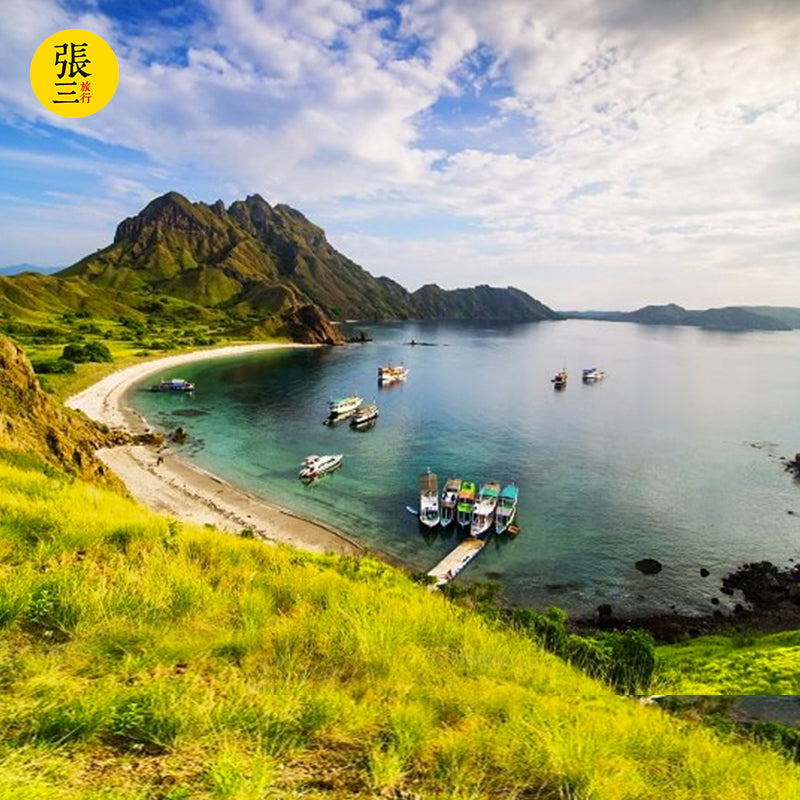 科莫多岛:岛上探险 粉红沙滩 快艇环岛