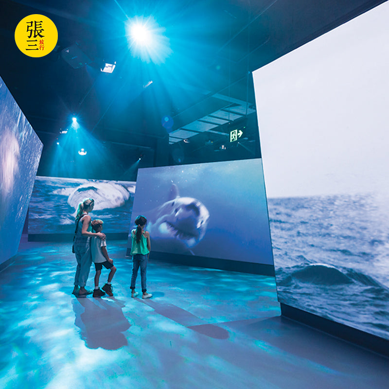 澳大利亚:墨尔本菲利普企鹅岛一日游