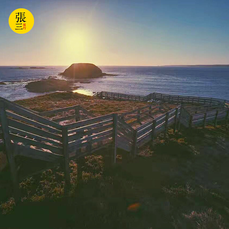 澳大利亚:墨尔本菲利普企鹅岛一日游