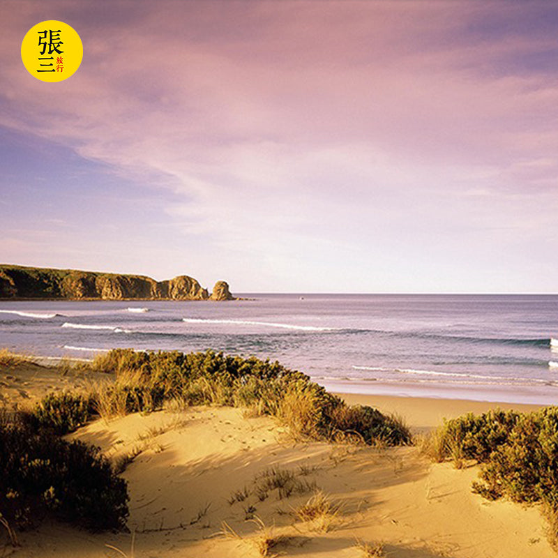 澳大利亚:墨尔本菲利普企鹅岛一日游