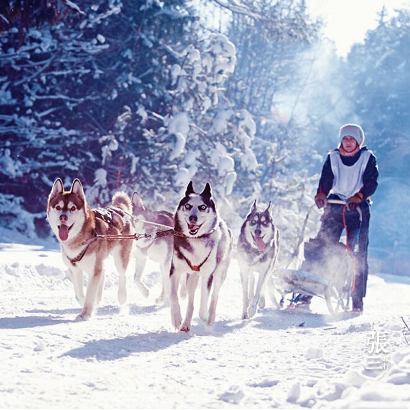 俄罗斯:摩尔曼斯克追极光多日游