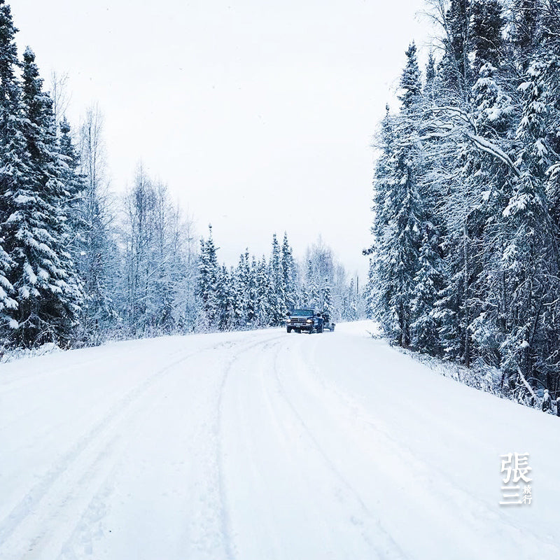 美国:阿拉斯加追极光之旅