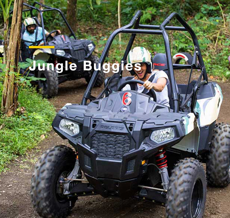 Bali:Jungle Buggies