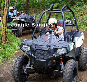 Bali：Jungle Buggies