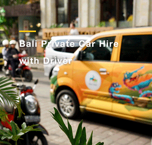 Bail:Private Car or Minibus Charter With Driver