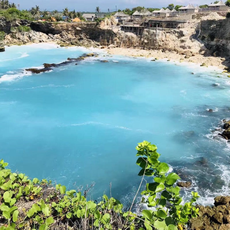 Lembongan Island Swim with Manta Ray