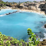 Load image into Gallery viewer, Lembongan Island Swim with Manta Ray
