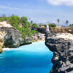 Load image into Gallery viewer, Lembongan Island Swim with Manta Ray
