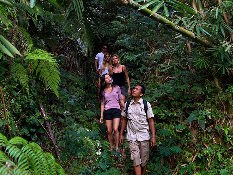 Bali:Tropical Trekking