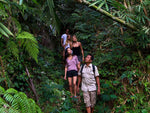 Load image into Gallery viewer, Bali：Tropical Trekking
