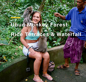 Bali:Waterfall,Rice Terraces & Monkey Forest Private Tour
