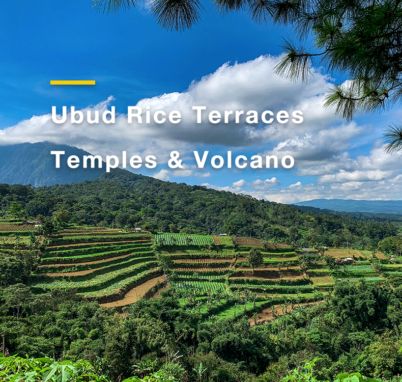 Bali:Ubud Rice Terraces+Temples+Volcano