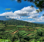 Load image into Gallery viewer, Ubud Day Tour
